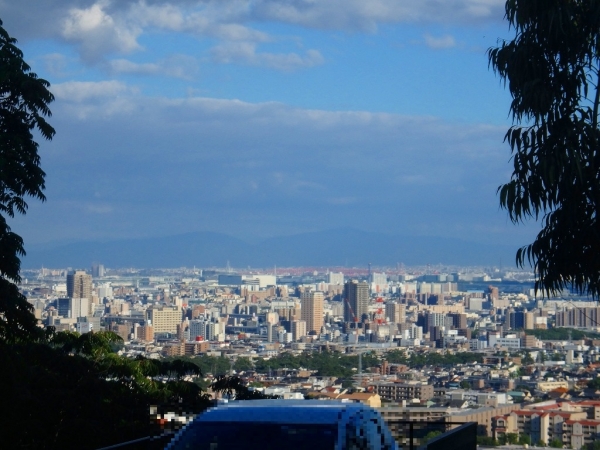 土地 苦楽園二番町 苦楽園二番町 土地